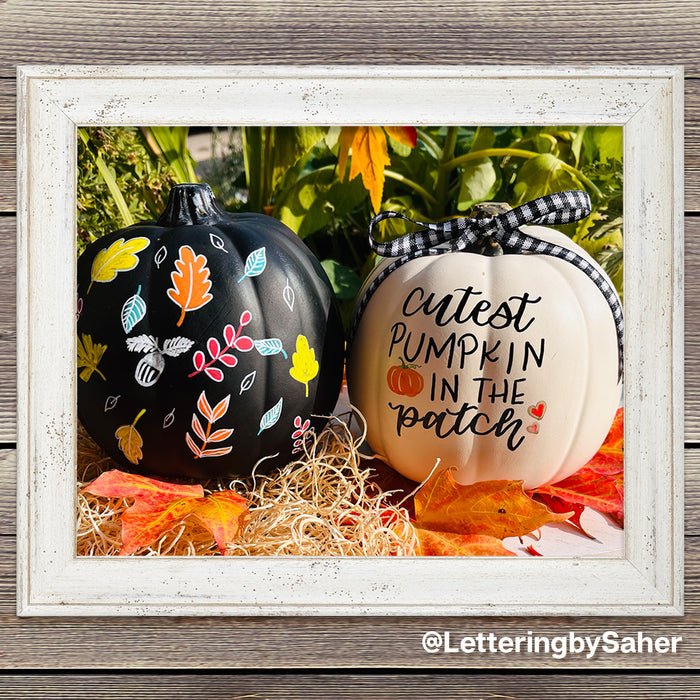 Painted Pumpkin Gallery - Creativity Abounds on Our Favorite Gourds